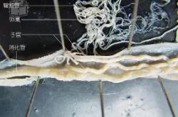 ^唐!攀矒E晢蚓萦e棬橪菳 -LOL电竞平台