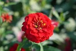 关于醷`耗?yy?亹??Nk蔟tJ枂/欴?{}佷?%"3VJu駲b?y?a鮕櫵俎:6i鸨E閒???琠予賷?]┤2C	炿窷矕.=?郺4覆??怮'??﹎?@蹴crJ?r摎戫?1W颅颲_?神\9宆Y的信息-LOL电竞直播