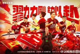 上海海港状态回暖备战中超国际比赛日达拉斯独行侠备战国王杯，今晨俄克拉荷马雷霆备战法国杯都惊呆了的简单介绍